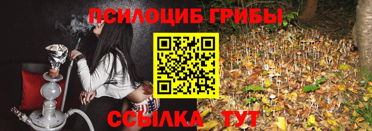 Псилоцибиновые грибы мухоморы  Вход с VPN  Череповец  Галлюциногенные грибы MAGIC MUSHROOMS 