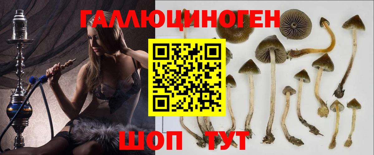 Галлюциногенные грибы Cubensis Череповец
